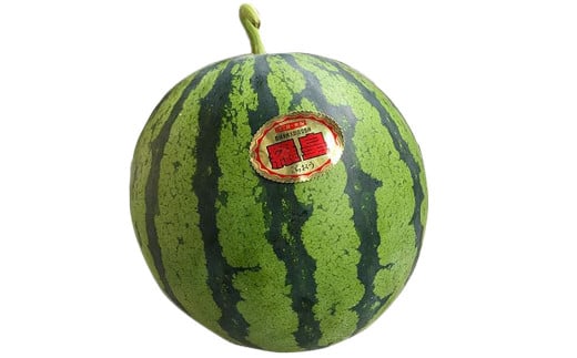 熊本産 大玉すいか ラオウザスイート 1玉入り 5kg以上【2026年5月上旬～6月下旬迄順次発送予定】すいか 大玉