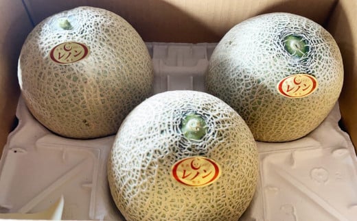 レノン メロン 箱込み 約5㎏(3~6玉入り) 赤肉メロン フルーツ 果物 赤肉【2026年4月下旬~5月下旬迄順次発送予定】