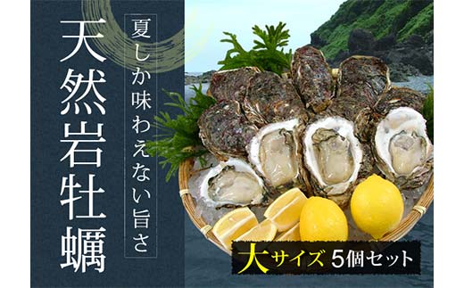 《先行予約 2026年度発送》庄内浜 天然岩牡蠣 大サイズ 5個 牡蠣剥き用ナイフ付き FSY-2100