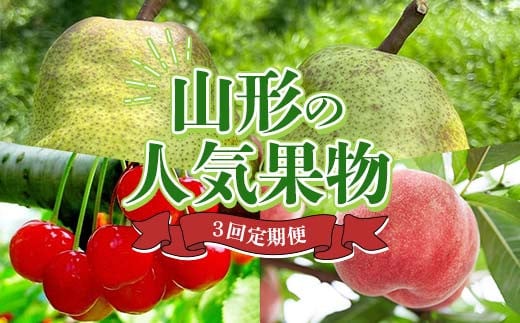 山形の人気果物3回便