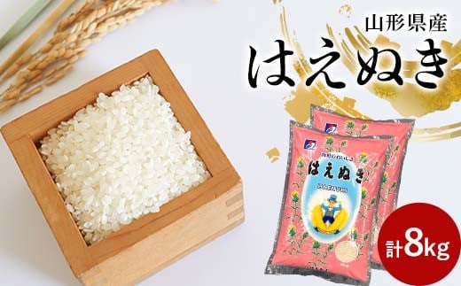 令和6年産 山形県産はえぬき 8kg (4kg×2袋) お米 精米