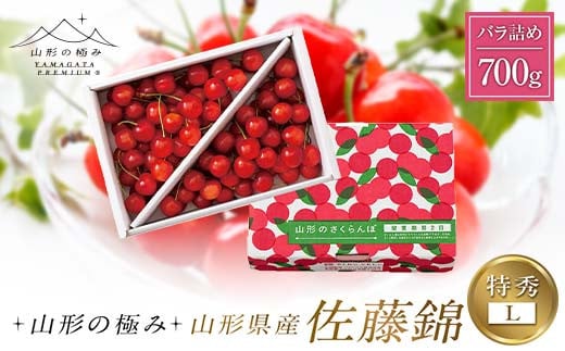 [山形の極み]山形県産 さくらんぼ 佐藤錦 700g 特秀 L バラ詰め 2025年6月中旬から順次発送