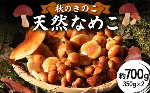 秋のきのこ 天然なめこ 約700g(350g×2袋)