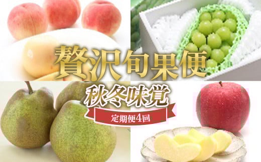 ≪数量限定 期間限定≫贅沢旬果便 〜秋冬味覚〜 白桃 シャインマスカット ラ・フランス サンふじりんご 定期便[全4回]