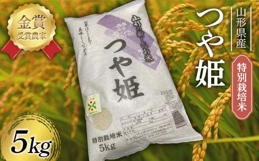 令和7年産 特別栽培米 つや姫 5kg F2Y-4396