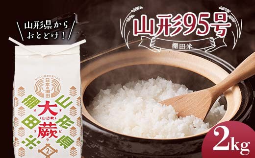 [令和7年産米]山形県山辺町大蕨地区産 山形95号(棚田米)