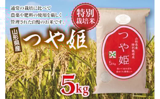 特別栽培米山形県置賜産 つや姫  米 お米 ブランド米 銘柄米 備蓄 日本米 コメ ごはん ご飯 食品 山形県 F2Y-0030