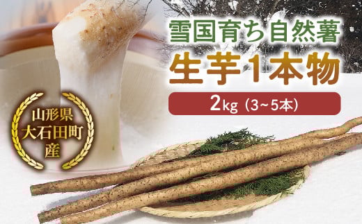 山形県産 雪国育ち自然薯 生芋1本物 2kg(3~5本) F2Y-5114