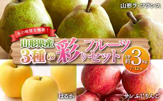 《先行予約 2025年度発送》冬の味覚を堪能！3種類の彩りフルーツセット  りんご リンゴ 林檎 デザート フルーツ 果物 くだもの 果実 食品 山形県 FSY-0136