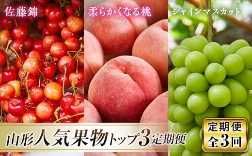 《先行予約 2026年発送》山形県人気くだものトップ3！定期便【全3回】 FSY-2328