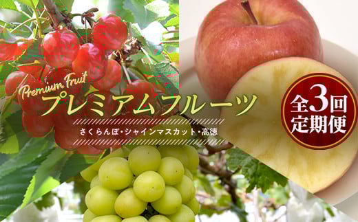 《先行予約 2026年6月上旬発送開始 定期便》プレミアムフルーツ （さくらんぼ シャインマスカット 高徳りんご） FSY-2368