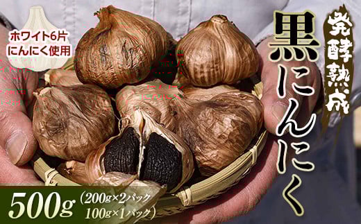 発酵熟成 黒にんにく 500g （200g×2パック＋100g×1パック） F2Y-4523