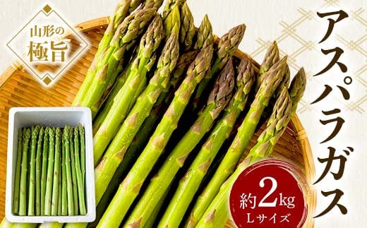 《先行予約 2026年度発送》山形の極旨 アスパラガス 約2kg（Lサイズ）  アスパラ 野菜 食品 山形県 FSY-0801