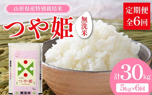 山形県産 特別栽培米 無洗米 つや姫 5kg（BG無洗米） 全6回定期便  米 お米 防災 備蓄 災害対策 コメ ごはん ご飯 食品 山形県 F2Y-3742