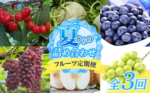 【令和8年度発送】晩夏 夏からの詰め合わせ フルーツ定期便 3回 FSY-2372