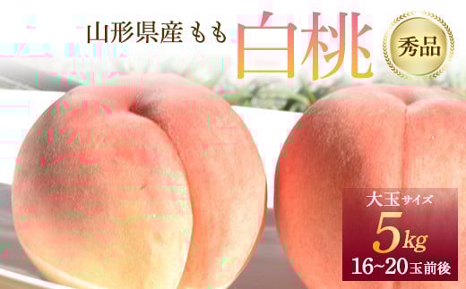 《先行予約 2026年度発送》 山形県産 白桃 秀品 5kg  もも モモ 桃 デザート フルーツ 果物 くだもの 果実 食品 山形県 FSY-1241