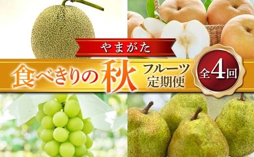 ≪2026年先行予約≫ 全4回 やまがた　食べきりの秋フルーツ定期便 FSY-2392