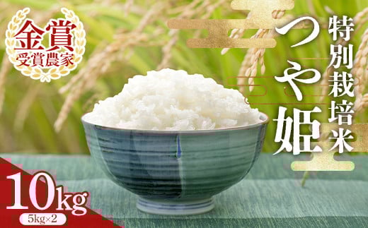 【2025年産 先行予約】 特別栽培米つや姫5kg×2袋 F2Y-4392