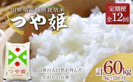 【定期便12回】山形県産特別栽培米 つや姫 5kg（精米）×12か月 計60kg  米 お米 ブランド米 銘柄米 備蓄 日本米 コメ ごはん ご飯 食品 山形県 F2Y-3899