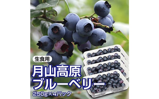 【先行予約 2026年度発送】山形県月山高原産 大澤農園のブルーベリー 250g×4パック 計1kg 生食用 爽やかな甘酸っぱさが魅力です  フルーツ 果物 くだもの 果実 食品 山形県 FSY-1223