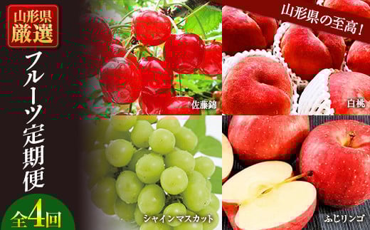 《先行予約 2026年6月発送開始》山形県の至高！山形県厳選フルーツ定期便 全4回 FSY-2313