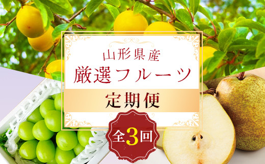 《先行予約 2026年8月発送開始》 山形県の至高! 山形県厳選 フルーツ定期便 全3回 FSY-2399