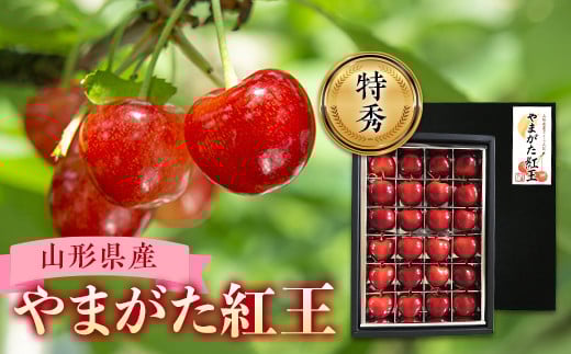 《2026年産先行受付》山形県産さくらんぼ【山形紅王 特秀品】 FSY-0020