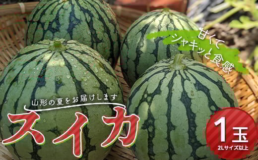 《先行予約 2026年発送》山形県産 スイカ 1玉  スイカ すいか 西瓜 デザート フルーツ 果物 くだもの 果実 食品 山形県 FSY-0168