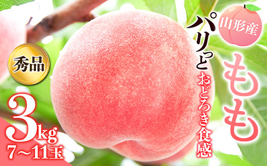 《先行予約 2026年発送》パリっとおどろき食感！山形産もも3kg  もも モモ 桃 デザート フルーツ 果物 くだもの 果実 食品 山形県 FSY-2473