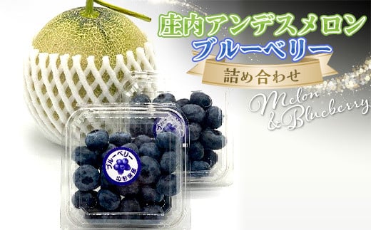 【令和8年発送】期間限定 庄内アンデスメロンとブルーベリー詰め合わせ FSY-2385