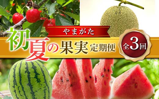 ≪2026年先行予約≫ 全3回 やまがた初夏の果実 定期便 FSY-2373