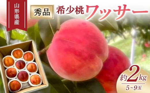 【2026年度先行予約】希少桃 ワッサー 約2kg 5玉~9玉 FSY-1026