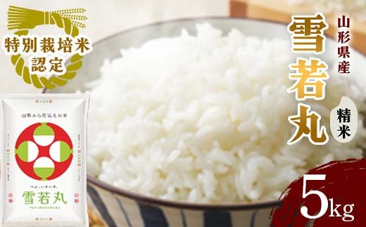 山形県産 雪若丸精米 5kg 【令和6年産】 F2Y-4072