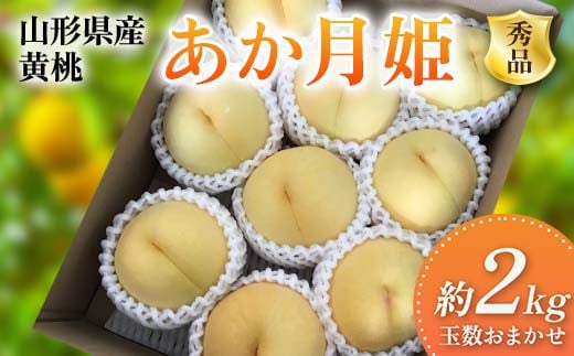 《2026年先行予約》 山形県産 黄桃 ＜あか月姫＞ 秀品 約2kg 玉数おまかせ FSY-2400