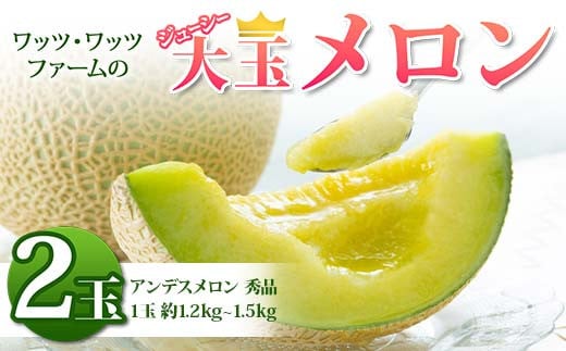 《2026年 先行予約》 ワッツ・ワッツ・ファームのジューシー大玉メロン 2玉 果物 フルーツ FSY-2376