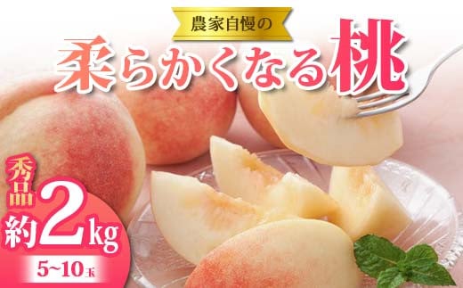《2026年 先行予約》 農家自慢の柔らかくなる桃 約2kg(5～10玉) 果物 フルーツ FSY-2052