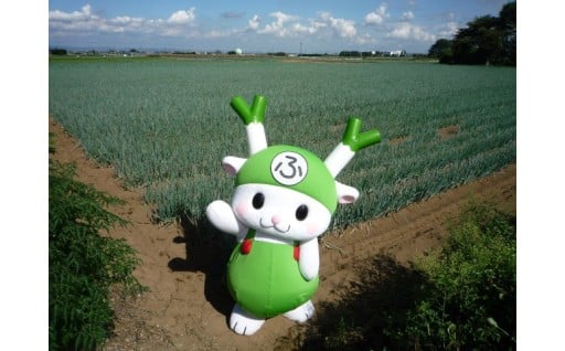 ふっかちゃんを応援～深谷市の魅力発信！