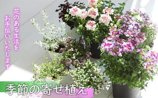 花のある暮らしで心もハッピー。季節の寄せ植え 【11218-0060】
