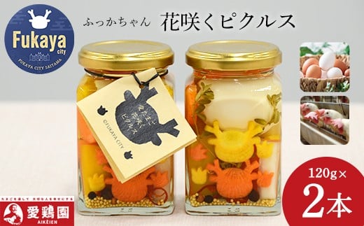 愛鶏園 たまごのふっかちゃん花咲くピクルス 【11218-0039】