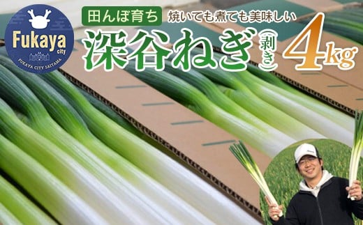 ＜先行予約＞煮てよし、焼いてよし！甘さがギュッと！深谷ねぎ　4kg　【11218-0240】