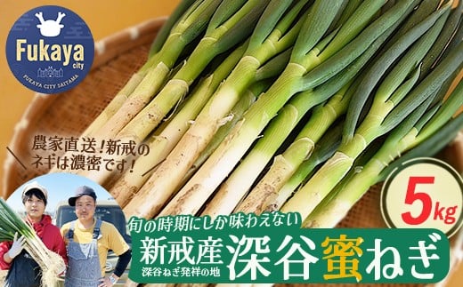 <先行予約>深谷新戒産 深谷ねぎ 5kg 【11218-0381】