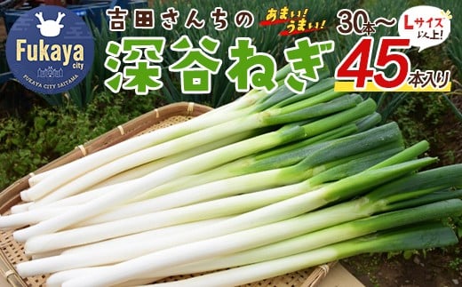 ＜先行予約＞吉田さんちの深谷ネギ　【11218-0388】