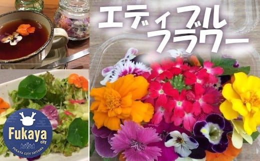エディブルフラワー 1パック(季節のお花30~40輪) 【11218-0398】