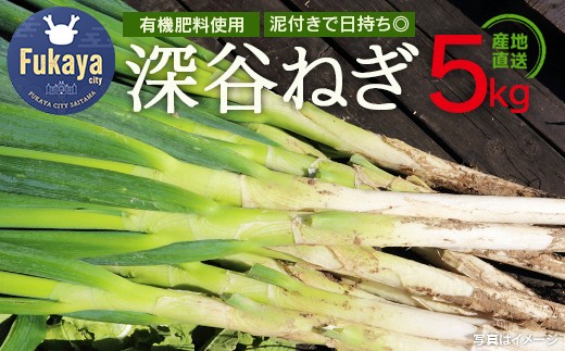 <先行予約>柿澤農園 深谷ねぎ5kg(泥付き) 【11218-0407】