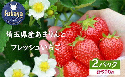 ＜先行受付＞安藤農園 埼玉県産あまりんとフレッシュいちご　各1パック（計500g）　【11218-0711】