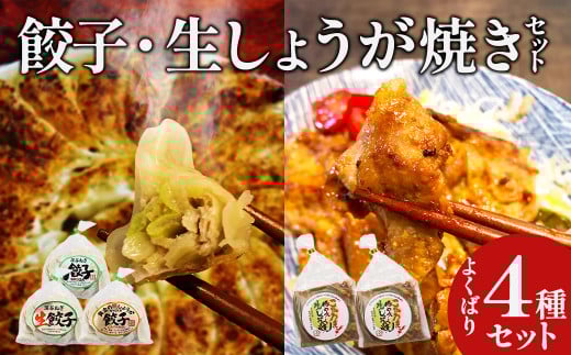 名所 餃子・生しょうが焼セット 【11218-0659】