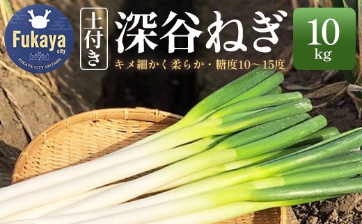 土付き深谷ネギ　10kg　【11218-0538】