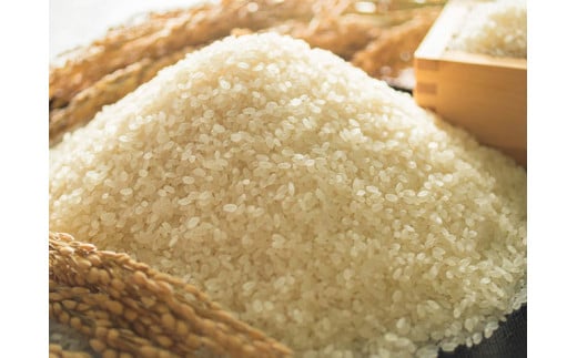 定期便 福岡県大川市産ヒノヒカリ(2024年秋収穫のお米)10kg×12回 定期コース(全12回のお届け) | 米 お米 こめ 白米 精米 120キロ 食品 ライス 令和6年 美味しい おいしい ご飯 ごはん 人気 おすすめ 送料無料 ふるさと納税 定期配送