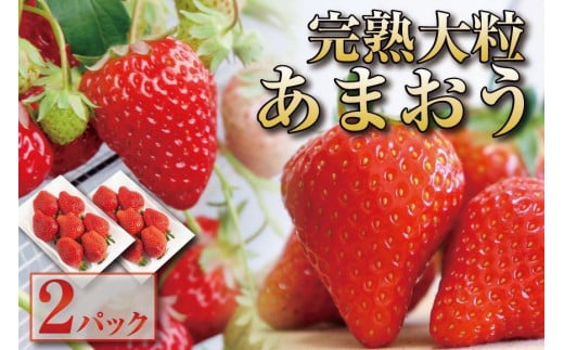 【12月中旬以降出荷予定】完熟 大粒 あまおう イチゴ 280g×2パック(約560g)<配送不可:北海道、沖縄県、離島>