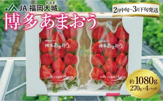 ★先行予約★いちごの王様 福岡県産博多あまおう270g×4パック【2026年2月中旬~3月順次出荷予定】